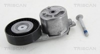Triscan Riemenspanner Keilrippenriemen 8641 163019 FüR MAX Galaxy Ford Mondeo 2