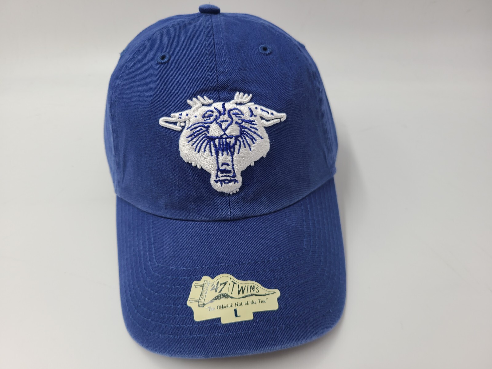 University of Kentucky Wildcats 47 Brand Franchise Fitted NCAA Hat Cap