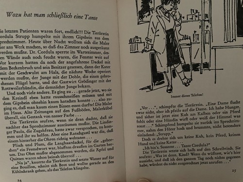 12 Verschieden Kinderbücher - Sammlung von 8 - 14 Jahren - Bild 21 von 24