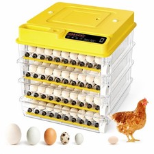 189 Egg Incubator Automatic Egg Turning Egg H...