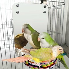 Acrylic Bird Mirror With Perch Stand Bird Toy For Parrot Bird Cage Accessories