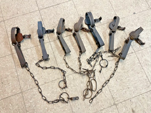 7, 1.5 Long Spring traps, Blake and Lamb, Victor, mink, coon, muskrat 7vicLS