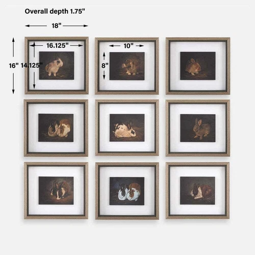 NINE RESTING BUNNY FRAMED PRINTS UNDER GLASS WALL ART PICTURES UTTERMOST 32386 - Picture 7 of 7