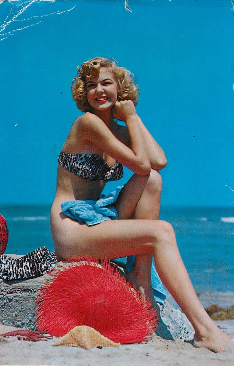 Postcard Vintage 1964 Bikini Girl Bathing Beauty Swimsuit Photo | eBay