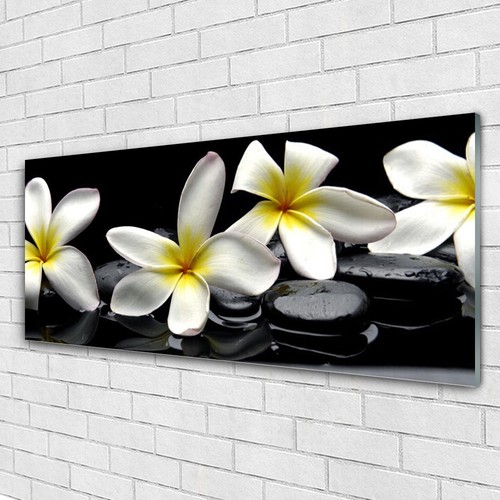 Tulup Glass print Wall art 125x50 Image Picture Flower Stones eBay