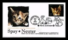 DR JIM STAMPS US COVER KITTEN SPAY NEUTER PETS FIRST DAY ISSUE PICTORIAL CANCEL