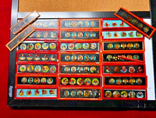 24 Slides, Antique 1800s 1900s Glass Magic Lantern Projector Slides