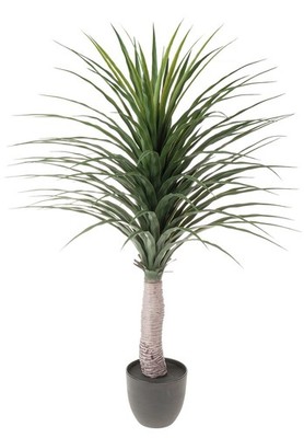 artplants Plastik Yucca DENDES im Dekotopf, 120cm