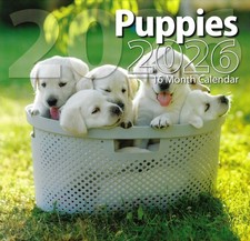 2026 Puppies Full Size Wall Calendar for Planning, Scheduling, and Organizin...