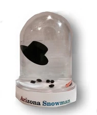 ARIZONA Snowglobe MELTED SNOWMAN Snow Globe Christmas GiftBox Funny Secret Santa