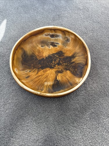 Small Dinosaur Designs Earth bowl