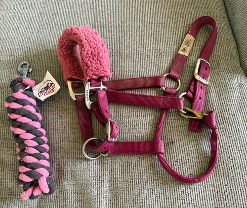Weaver Brand Halter And Rigged Ride Lead Set
