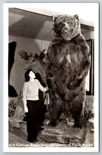RPPC 40s Real Photo Alaskan Brown Bear University of Alaska Museum Kodak