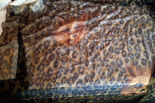 Chiffontuch Animalprint Leopard mit Fuchsköpfen Fuchs 150 cm x 150 cm - Bild 3 von 5