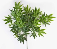 Artplants Japanischer Ahorn Zweig, GrüN, 60Cm