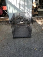 42 × 28 × 30 inch large heavy duty animal crate w/slide out tray, 2 doors, shelf