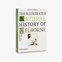 The Illustrated Natural History Of Selborne | Gilbert White | Englisch | Buch