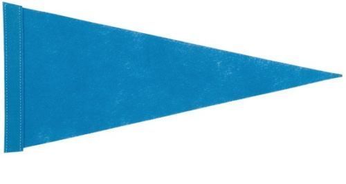 NEW 10 pk. 1/4"-5/16" Sleeve Blue Pennant Replacement Flag ATV Bicycle Rhino UTV - Bild 1 von 3