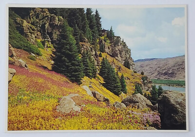 Postcard Ohme Gardens Wenatchee Washington USA Columbia River Cascade Mountains