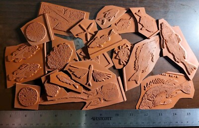 Fred B Mullett Fish/Insect/Aquatic 20pc Assortment Rubber Stamps Raw Unmounted 