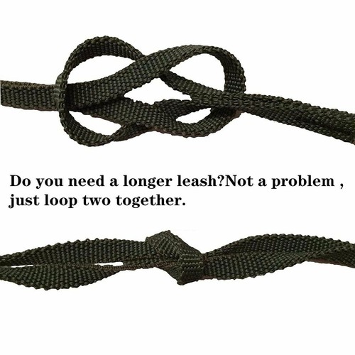 2x Kajak Kanu Elastisch Paddel Leine Sicherheit Angelrute Lanyard Zubehör Seil - Bild 5 von 15