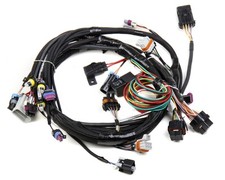 Holley Efi 558-102 Fuel Injection Wire Harness Holley Efi 558-102 Fuel Injection Wire Harness
