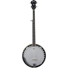 Washburn 5-String Banjo Closed Back Banjo