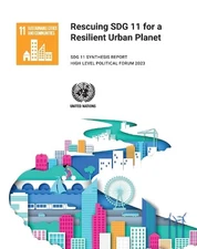 Rescuing SDG 11 for a resilient urban planet - 9789211329032