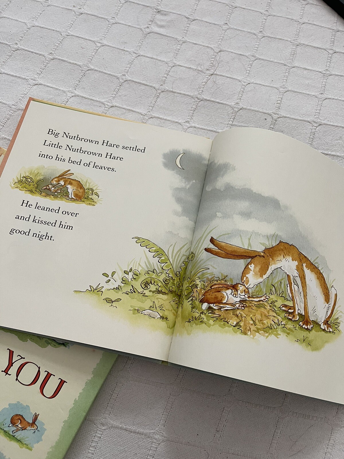 Guess How Much I Love You by Mcbratney Sam, Jeram Anita (Hardcover