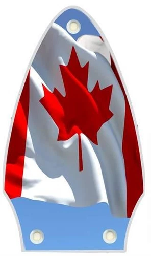 Truss Rod Cover Graphic compatible with Gibson Flying V Guitar Canada Pat Flag 4