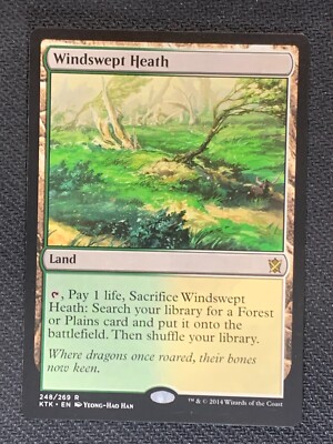  Windswept Heath - 248/269 Rare  Magic MTG Card
