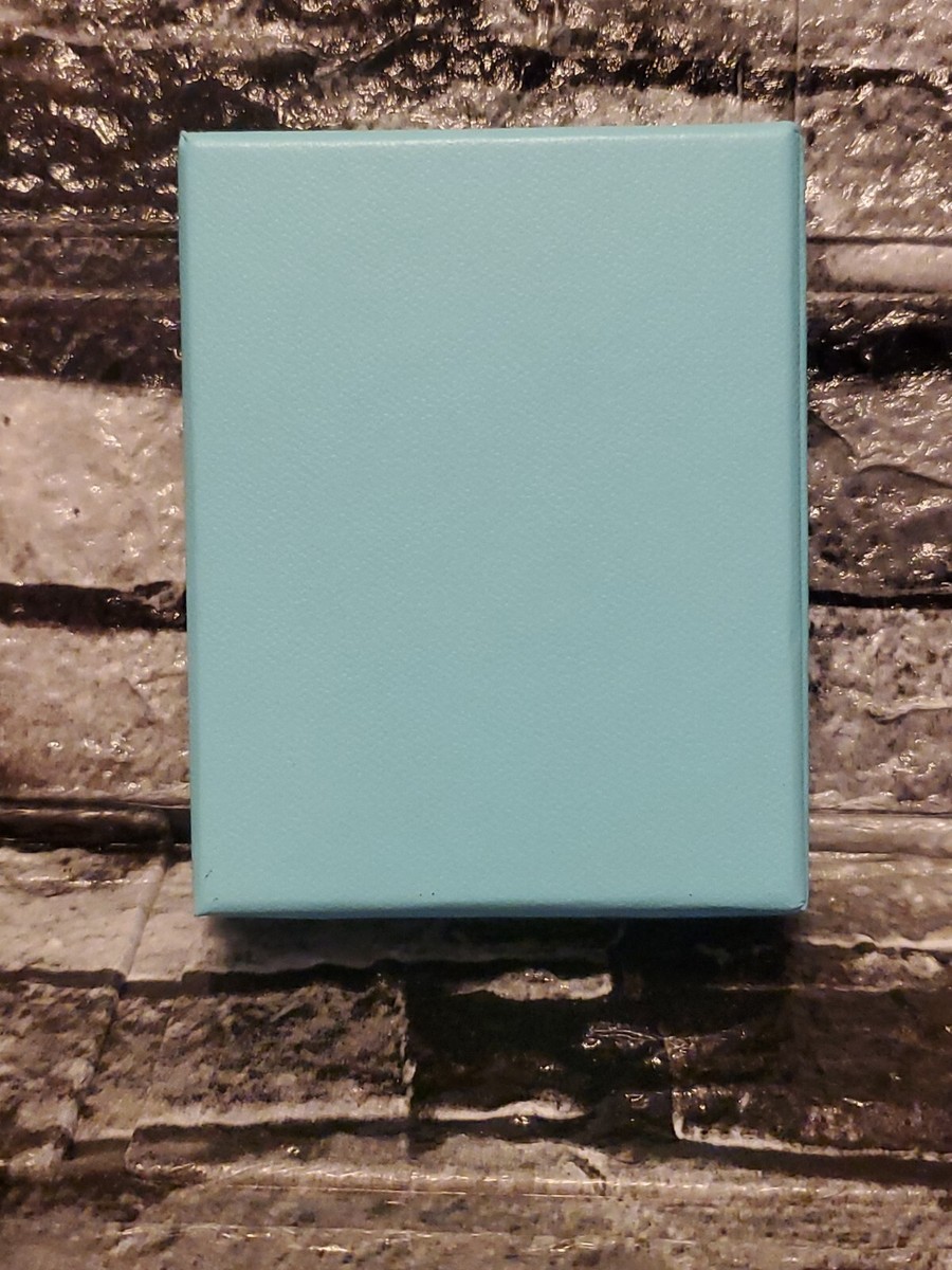 Empty Tiffany & Co. Lidded Gift Box Pantone 1837 Blue 3 Empty Tiffany & Co. Lidded Gift Box Pantone 1837 Blue 3