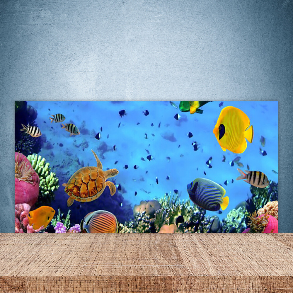 Panneau de cuisine en verre trempé 100x50 cm collection Récif de Corail
