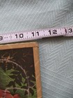 Foto 8 di 9