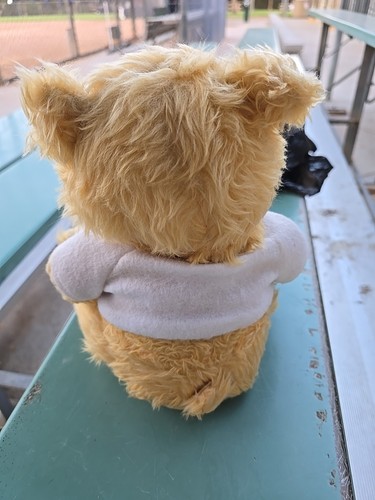 Peluche PBC Noah FELIZ CUMPLEAÑOS 12" Talking Brown Bear con etiqueta de Noah benShea- - Imagen 2 de 2