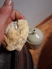 Pegmatite mined out of Vein mtn N.C. from hurricane Helen — photo 9