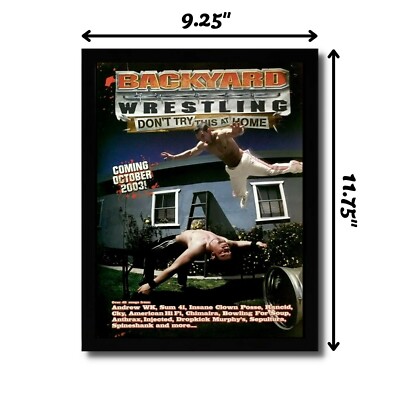 2003 Backyard Wrestling PS2 Xbox Framed Print Ad/Poster Andrew WK
