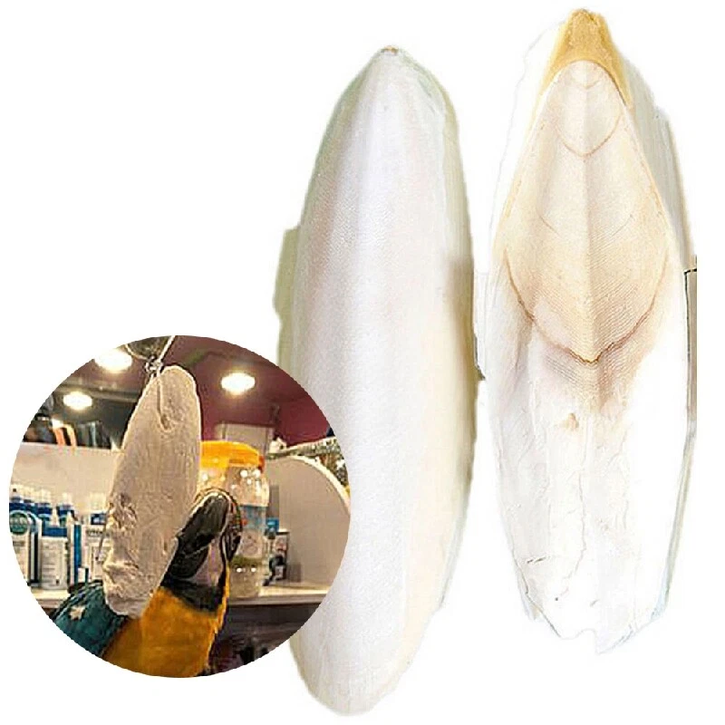 Fish and outlet bone pet store