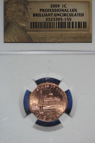 2009 NGC 1C PROFESSIONAL LIFE BRILLIANT UNCIRCULATED #B50023