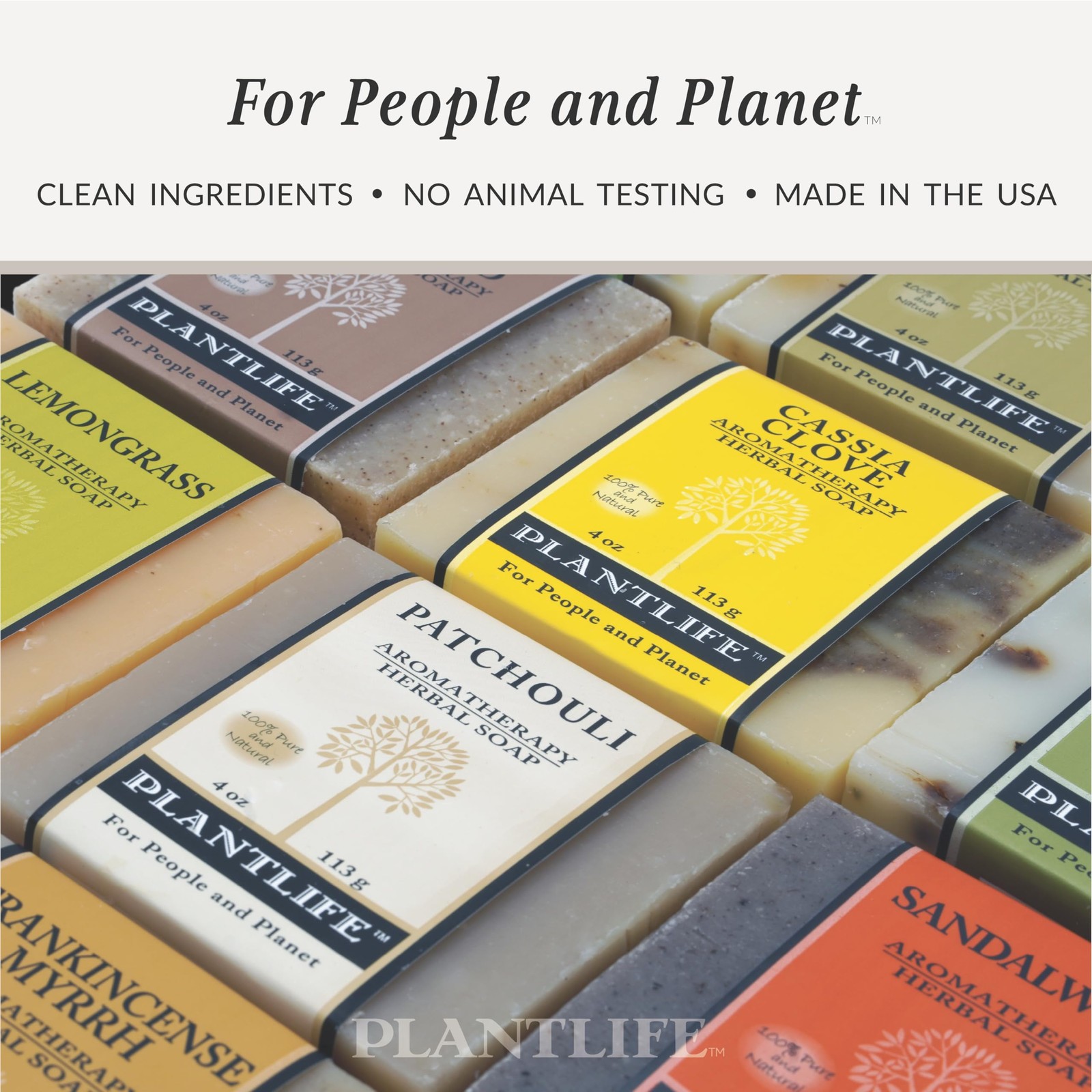 Plantlife Lavender 6-Pack Bar Soap - Moisturizing, Soothing, Natural Skin Care