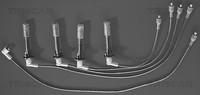 ZüNdleitungssatz Triscan 8860 3395 FüR Fiat Peugeot Ducato J5 CitroËN 505 Bus