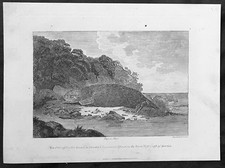 1788 William Henry Hall Antique Print Sea Otter Nootka Sound - Captain Cook 1778