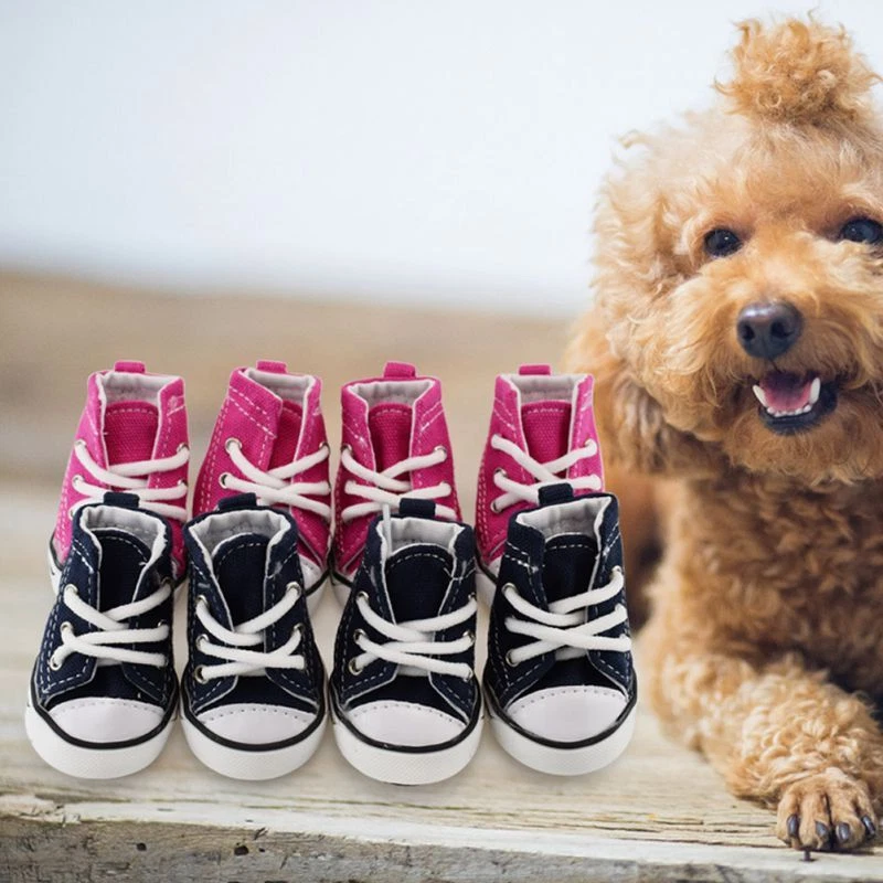 nike air jordans / new balance 550 for dogs??👟 | Gallery posted by snowy &  cloudy | Lemon8