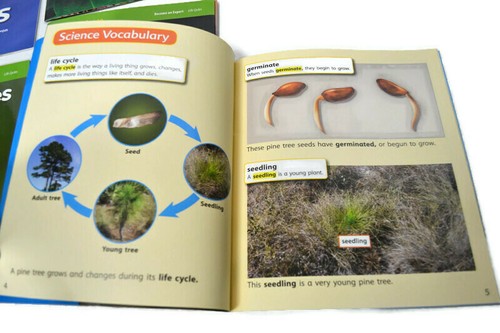 NATIONAL GEOGRAPHIC Life Cycle Readers Grades 1 & 2 Science Homeschool Books - Picture 6 of 12