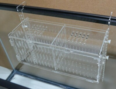 Acclimation Breeder Box (Fish, Anemone, and Quarantine) | eBay