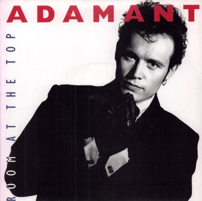 Adam Ant Room At the Top 7'' vinyl UK MCA 1989 silver injection label design in