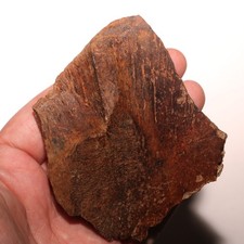 Huge Unique Turtle Shell Piece Authentic Fossil CRETACEOUS Hell Creek Formation