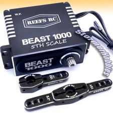 Reefs RC Beast 1000 Waterproof Digital 1/5 Sc...