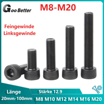 Zylinderschrauben Linksgewinde&Feingewinde Innensechskan 12.9 M8 M10M12M14M16M20