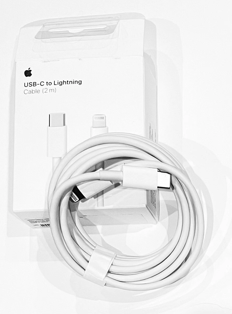 Câble USB C APPLE USB-C / USB C 2M